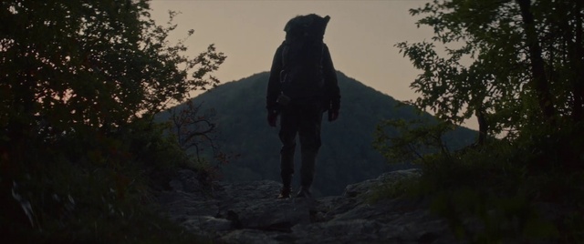 Video Reference: Nature, Photograph, Black, Tree, Wilderness, Sky, Atmospheric phenomenon, Morning, Biome, Snapshot