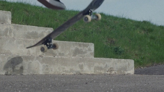 Video Reference: bird, asphalt, grass, sports equipment, freebord, beak, skateboarding