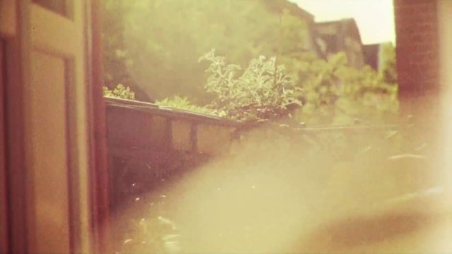 Video Reference: Light, Snapshot, Sunlight, Tints and shades, Window, Food, Sitting, Front, Reflection, Table, Mirror, Yellow, Glass, Train, Water, White, Blurry, Bus, Dog, Street, Fog, Tree