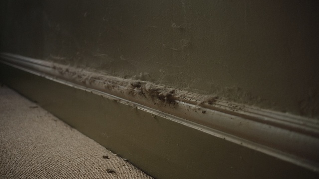 Video Reference: wall, line, wood, sky