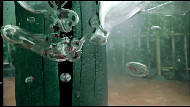Video Reference: Green, Water, Organism, Glass, Fictional character, Fiction, Art