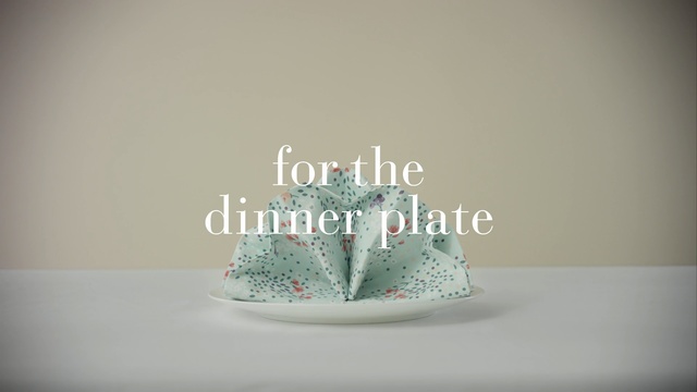 Video Reference: cake decorating, royal icing, cake, font, ceramic