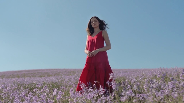 Video Reference: People in nature, Red, Dress, Clothing, Beauty, Grassland, Lavender, Pink, Field, Flower