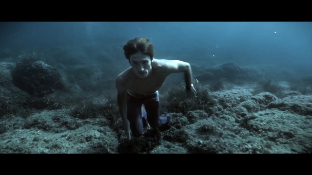 Video Reference: underwater, screenshot, atmosphere, water, marine biology, organism, sky, sea, darkness, computer wallpaper