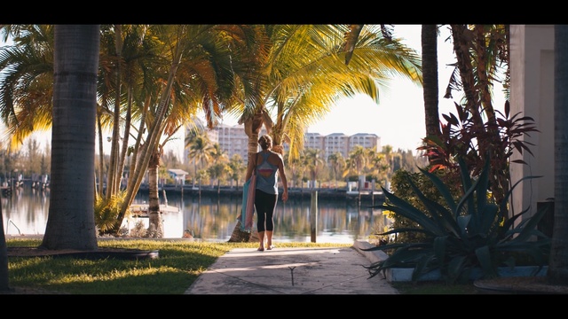 Video Reference: Photograph, Tree, Water, Sky, Light, Sunlight, Palm tree, Yellow, Morning, Snapshot, Person