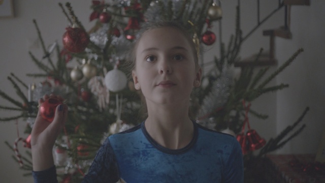 Video Reference: Hair, Christmas ornament, Facial expression, Christmas, Christmas tree, Red, Tree, Snapshot, Male, Branch, Person