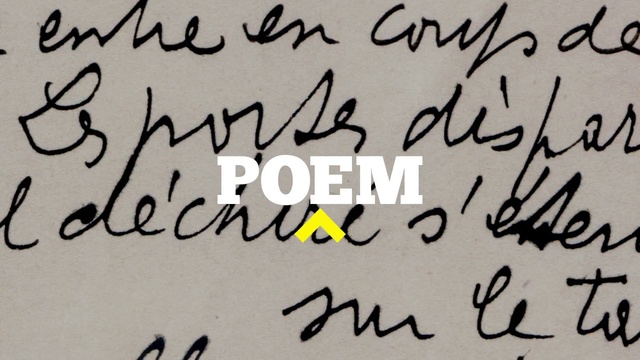 Video Reference: Font, Text, Handwriting, Calligraphy, Writing, Art