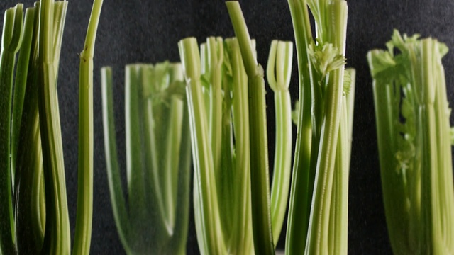 Video Reference: Plant, Food, Vegetable, Grass, Celery, Leek, Grass, Plant stem, Garlic chives, Scallion