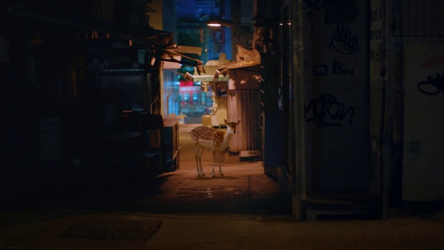 Video Reference: Alley, Street, Darkness, Night, Town, Infrastructure, Road, Sky, Midnight, City