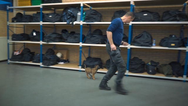 Video Reference: Conformation show, Room