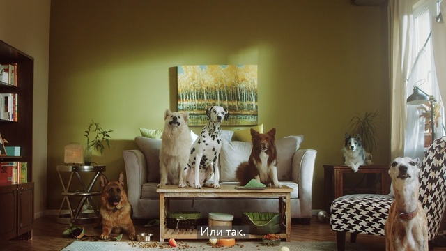 Video Reference: room, living room, furniture, interior design, home, table, dining room, window, decor