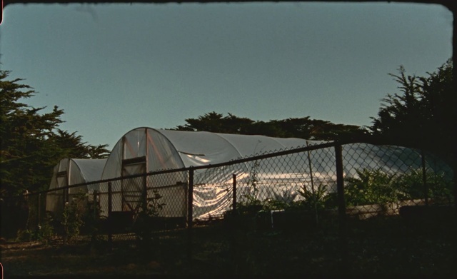 Video Reference: Sky, Plant, Fence, Tree, Tent, Shade, Landscape, Building, Wire fencing, Tints and shades