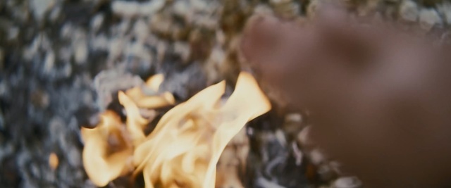 Video Reference: Close-up, Cuisine, Dish, Food, Chocolate, Plate, Sitting, Cake, Table, Piece, Covered, Black, Topped, Dessert, Close, Banana, Toppings, Cheese, White, Fruit, Dog, Broccoli, Blue, Plant