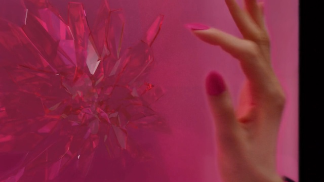 Video Reference: Pink, Red, Magenta, Finger, Hand, Close-up, Petal, Nail, Photography, Flesh