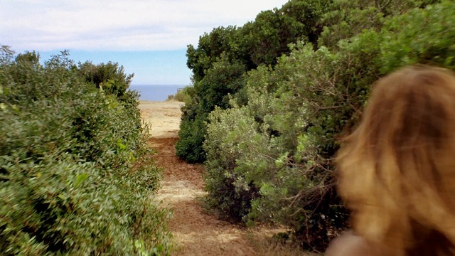 Video Reference: vegetation, ecosystem, nature reserve, path, shrubland, tree, sky, trail, plant community, grass
