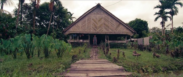 Video Reference: Building, House, Hut, Tree, Architecture, Jungle, Cottage, Landscape, Shack, Roof