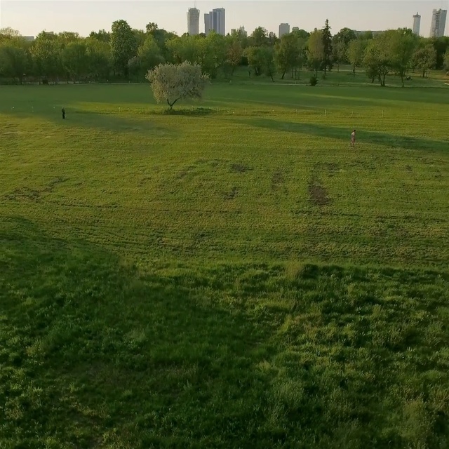 Video Reference: Grassland, Green, Pasture, Grass, Natural environment, Lawn, Field, Land lot, Vegetation, Meadow