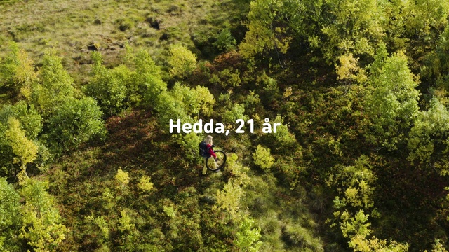 Video Reference: Vegetation, Nature, Natural landscape, Tree, Nature reserve, Natural environment, Forest, Tropical and subtropical coniferous forests, Biome, Jungle