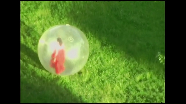 Video Reference: Plant, Automotive lighting, Water, Ball, Astronomical object, Sky, Terrestrial plant, Grass, Tree, Circle