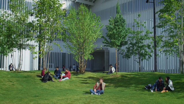 Video Reference: Grass, Lawn, Green, Public space, Tree, Campus, Yard, Backyard, Architecture, Garden