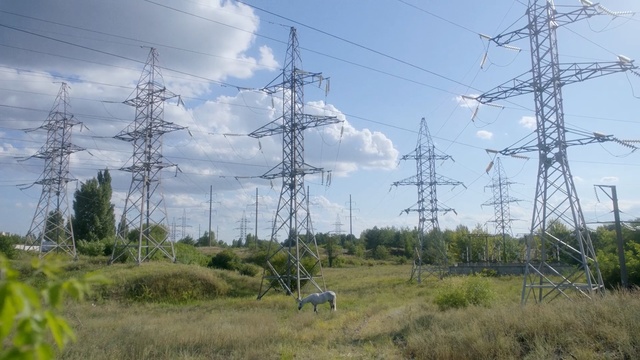 Video Reference: overhead power line, transmission tower, electricity, sky, electrical supply, tree, energy, biome, rural area, field, Person