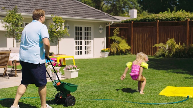 Video Reference: Lawn, Yard, Grass, Backyard, Garden, Play, Summer, Fun, Plant, Home, Person