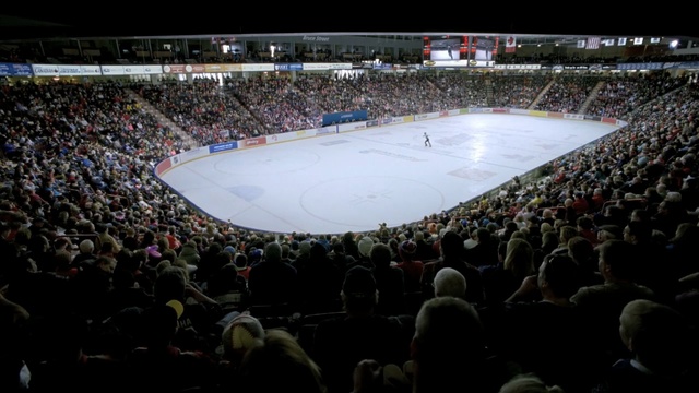 Video Reference: crowd, sport venue, structure, arena, stadium, audience, public event, world, competition event