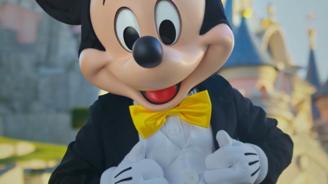 Video Reference: Animated cartoon, Cartoon, Walt disney world, Animation, Fun, Mascot, Recreation, Amusement park, Vacation, Park