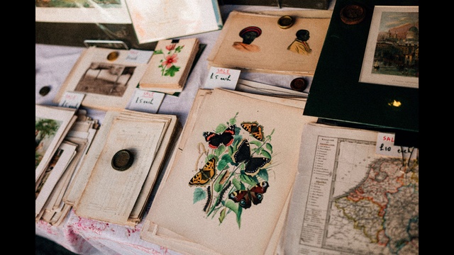 Video Reference: Table, Room, Textile, Plant, Art, Collection, Flower