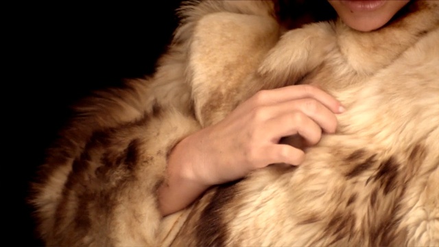 Video Reference: fur clothing, fur, textile, cat, whiskers, snout, material