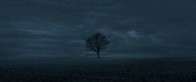 Video Reference: Cloud, Sky, Natural landscape, Twig, Tree, Grey, Plant, Horizon, Landscape, Freezing