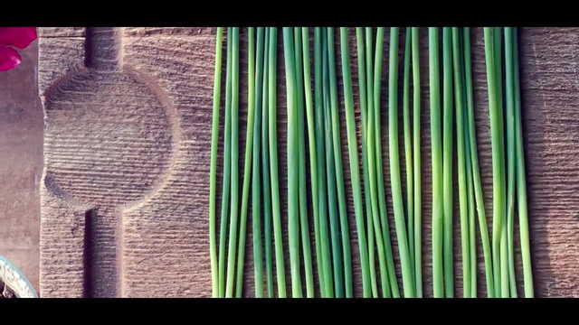 Video Reference: Green, Line, Textile, Pattern, Metal, Symmetry, Still life photography