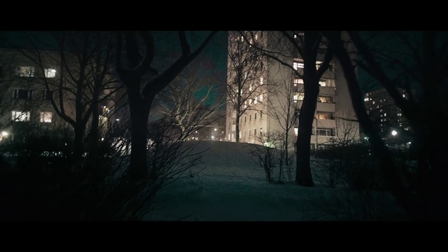 Video Reference: Nature, Darkness, Sky, Tree, Atmosphere, Atmospheric phenomenon, Natural environment, Light, Branch, Winter