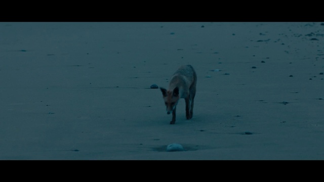 Video Reference: blue, sky, fauna, wildlife, water, atmosphere, arctic, freezing, ice, sea, Person
