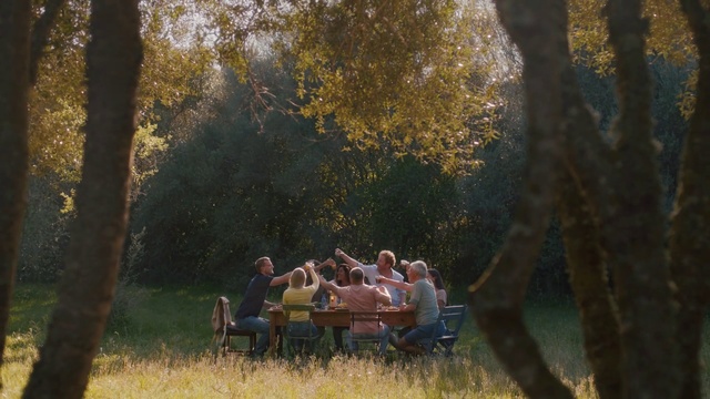 Video Reference: Nature, Photograph, Tree, Natural landscape, Natural environment, Woodland, Grass, Woody plant, Sunlight, Forest