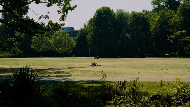 Video Reference: nature, water, sky, tree, grass, meadow, pasture, field, wetland, lawn