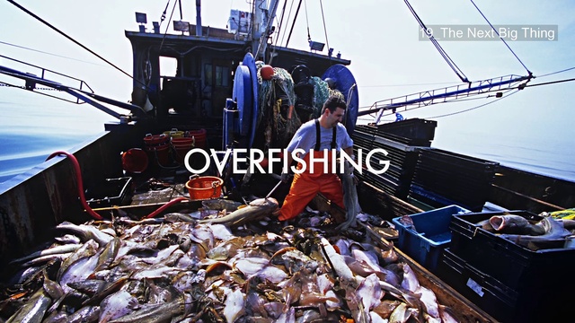 Video Reference: Fishing vessel, Vehicle, Naval architecture, Fishing trawler, Scrap, Boat, Seafood