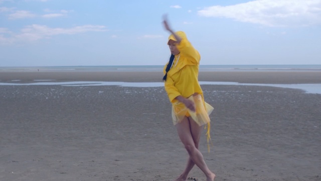 Video Reference: sea, beach, yellow, vacation, sand, fun, sky, ocean, summer, water