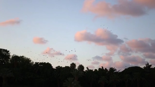 Video Reference: Sky, Cloud, Daytime, Atmospheric phenomenon, Atmosphere, Cumulus, Morning, Evening, Horizon, Meteorological phenomenon