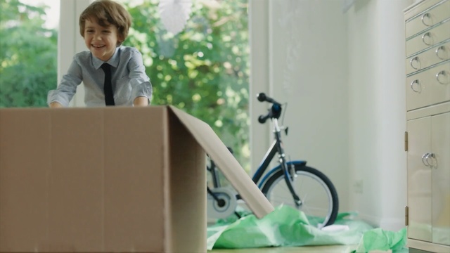 Video Reference: Green, Desk, Room, Table, Bicycle, Vehicle, Furniture, Person