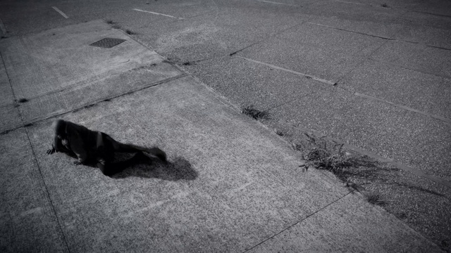 Video Reference: Black, White, Black-and-white, Shadow, Asphalt, Snapshot, Road surface, Public space, Monochrome photography, Monochrome