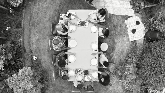 Video Reference: photograph, black and white, monochrome photography, photography, monochrome, tree, stock photography