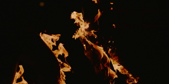 Video Reference: Flame, Heat, Fire, Organism, Event, Performance art