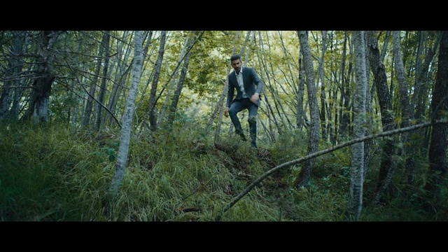 Video Reference: Nature, Downhill mountain biking, Forest, Woodland, Bicycle, Natural environment, Freeride, Jungle, Mountain biking, Mountain bike