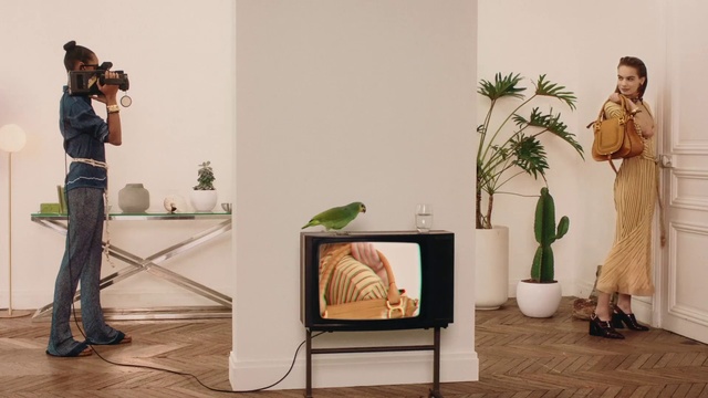 Video Reference: Furniture, Room, Event, Interior design, Plant, Art, Houseplant, Person