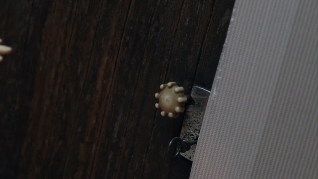 Video Reference: Insect, Wood, Pearl, Parasite, Pest