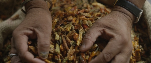 Video Reference: finger, commodity, Person