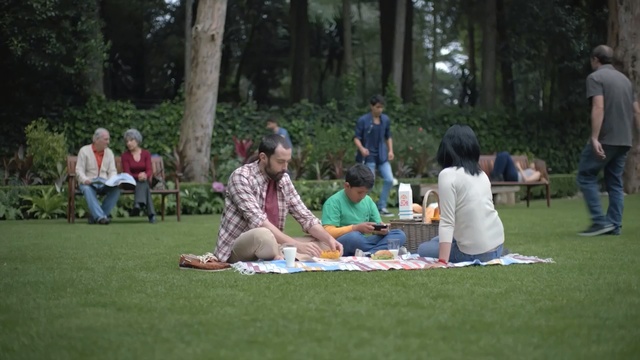Video Reference: green, plant, outdoor recreation, picnic, grass, recreation, lawn, leisure, fun, garden