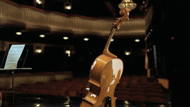 Video Reference: string instrument, musical instrument, guitar, string instrument, plucked string instruments, musical instrument accessory, darkness, musician, night, folk instrument, Person