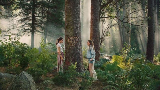 Video Reference: People in nature, Tree, Forest, Nature, Old-growth forest, Photograph, Natural environment, Woodland, Biome, Atmospheric phenomenon